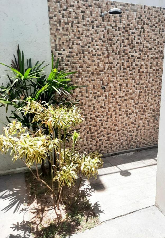 Recanto Do Mar - Apto 106 Lägenhet Florianópolis Exteriör bild
